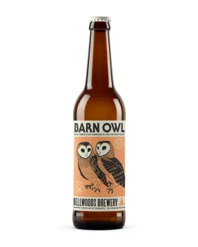 Barn Owl  No.3