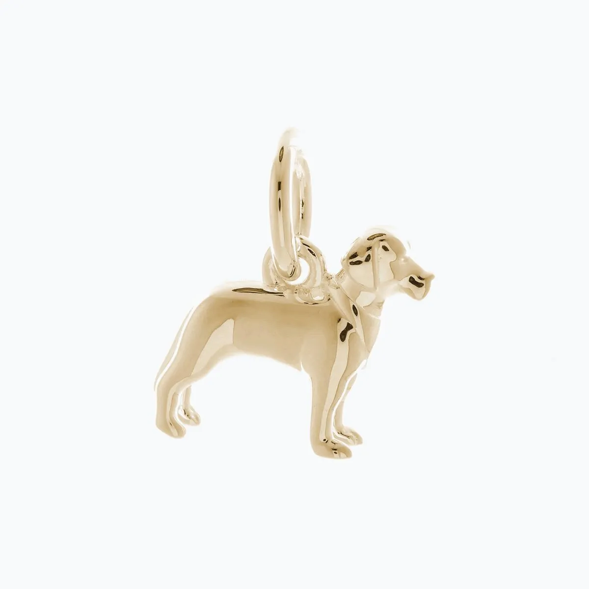 Labrador Solid Gold Dog Charm