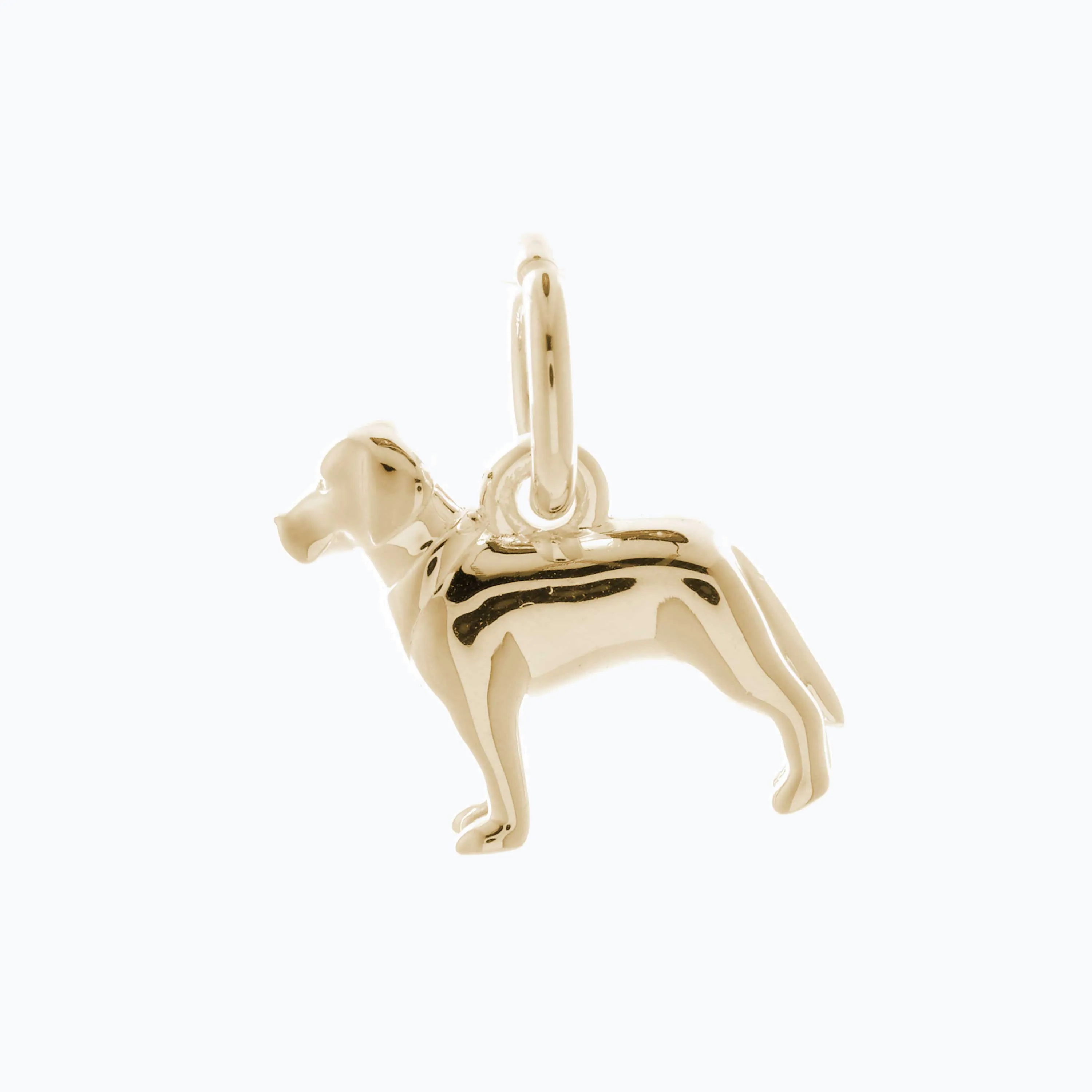 Labrador Solid Gold Dog Charm