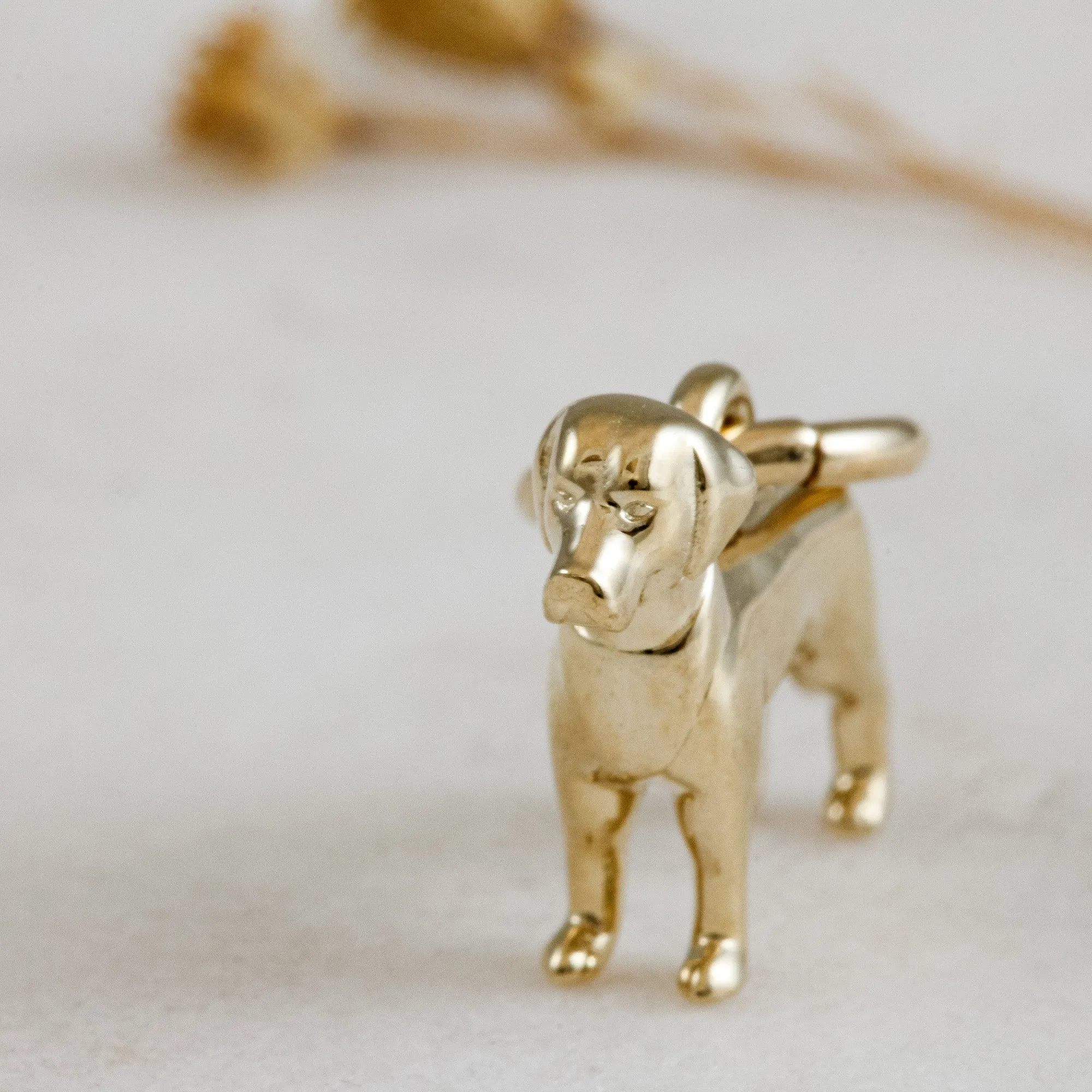 Labrador Solid Gold Dog Charm