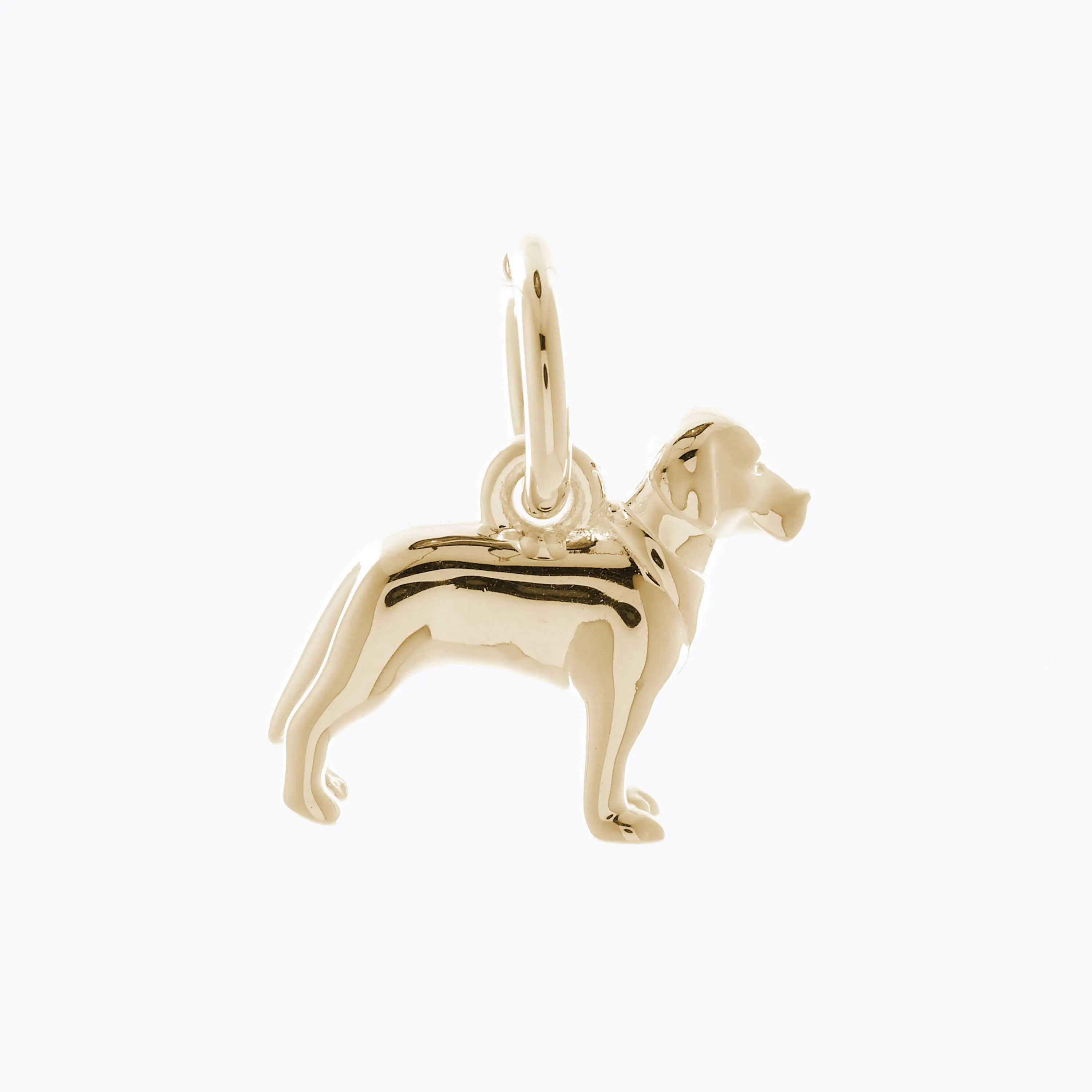 Labrador Solid Gold Dog Charm