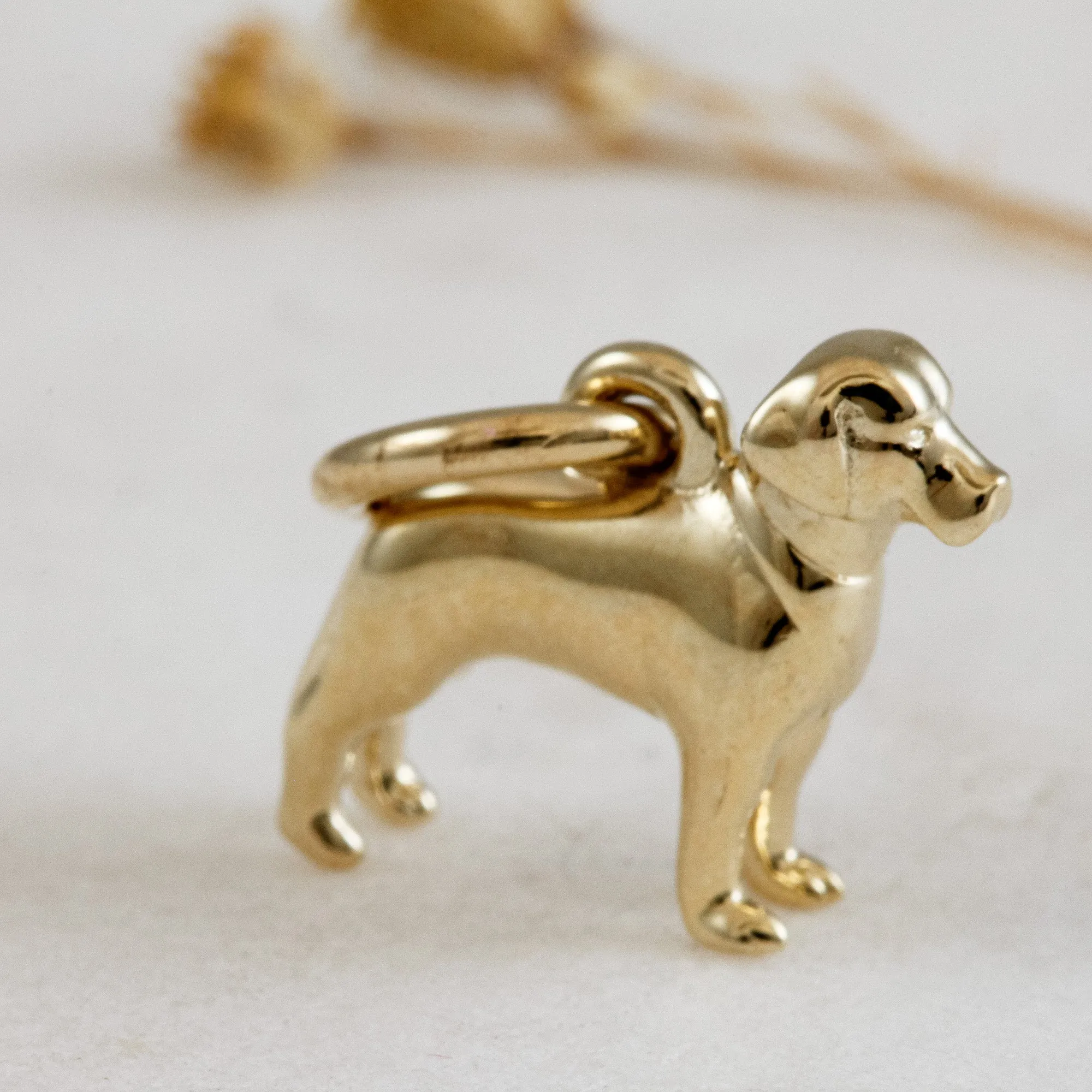 Labrador Solid Gold Dog Charm