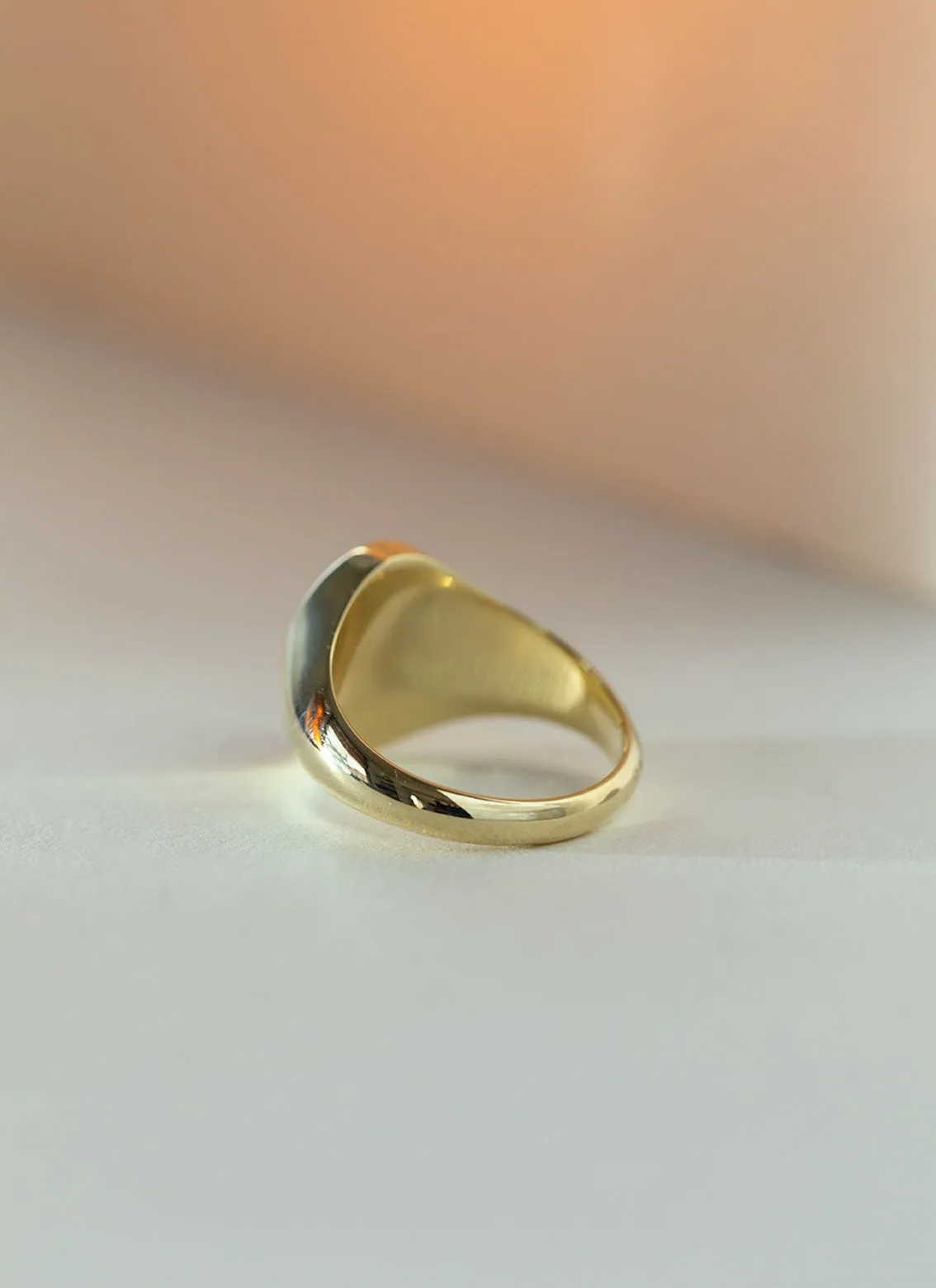 Lous signet ring 14k gold