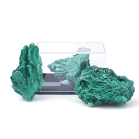 Malachite 30-60mm Specimen Terrarium - DS ROCK SHOP