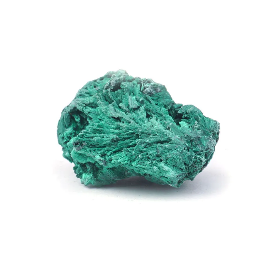 Malachite 30-60mm Specimen Terrarium - DS ROCK SHOP