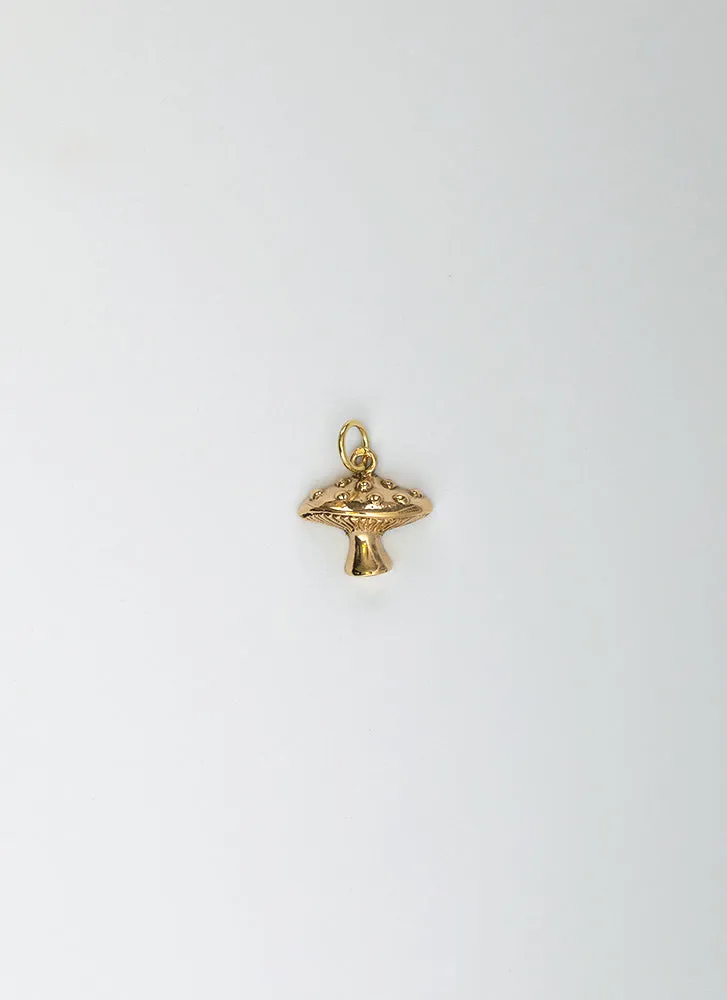 Paddo charm 14k gold