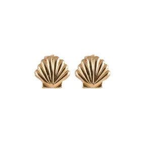 Tiny Shell Stud Earrings in Gold